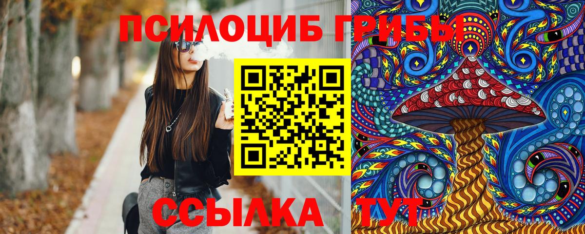 Гусев  Псилоцибиновые грибы мицелий  Вход с VPN 