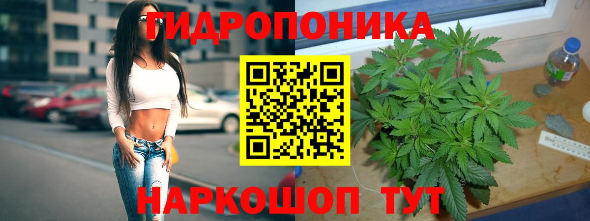 Шишки марихуана THC 21%  МАРИХУАНА White Widow  Гусев  Вход с VPN  Бошки Шишки планчик 
